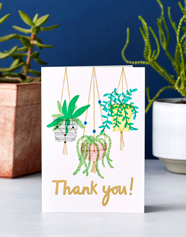 Hanging Plants Thank You 
															/ Wrap							