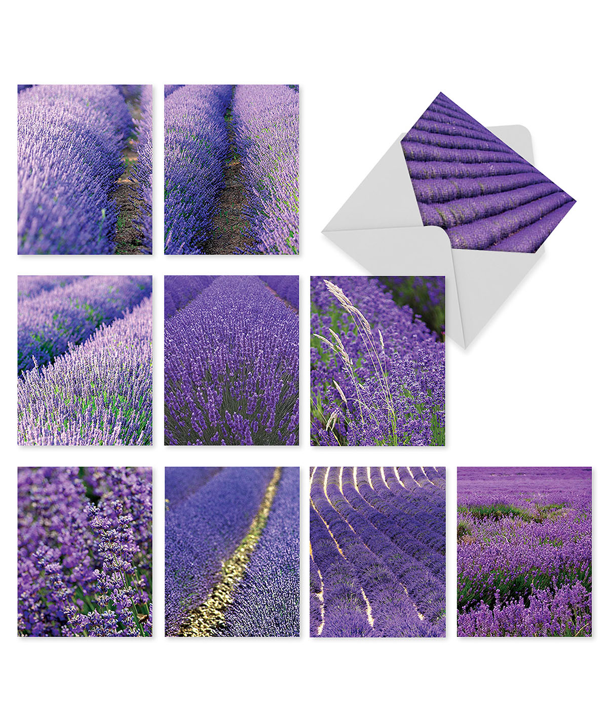 Lavender Fields Forever Boxed Notes