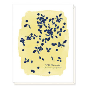 Wild Blueberries Card by Driscoll Design