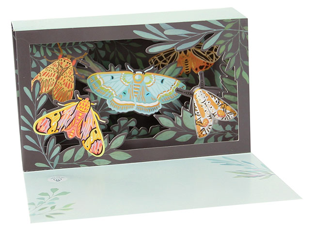 Delighted Shadowbox Card