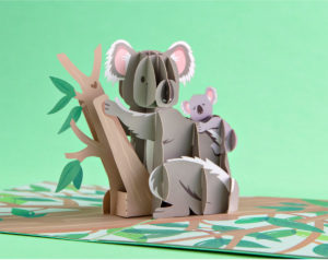 lovepop Koala 3D Pop-up Card