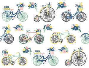 Bicycle Boxed Note Card from Design Design