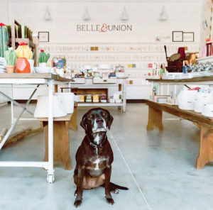 Belle Union Shop and office pet