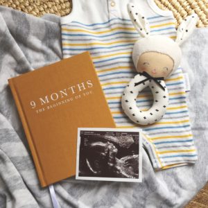 9 Months Pregnancy Journal from Write To Me