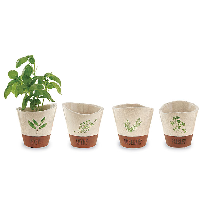 Herb Terracotta Pots