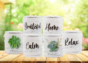 Succulents & Scents Candle Collection