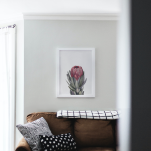 Protea in White Frame from EverElling