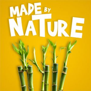 Toys Made by Nature