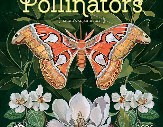Pollinators Calendar from Amber Lotus Publishing