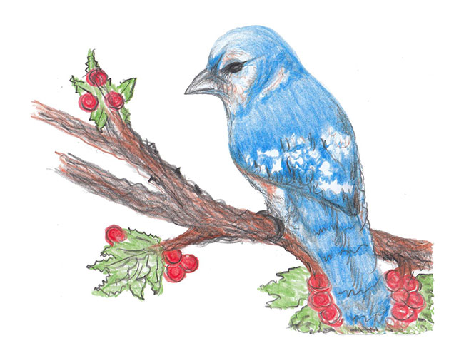 Blue Jay Notecard 
															/ Shades of Expression Designs							