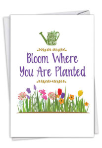 Bloom Where You Are Planted Card 
															/ Nobleworks							