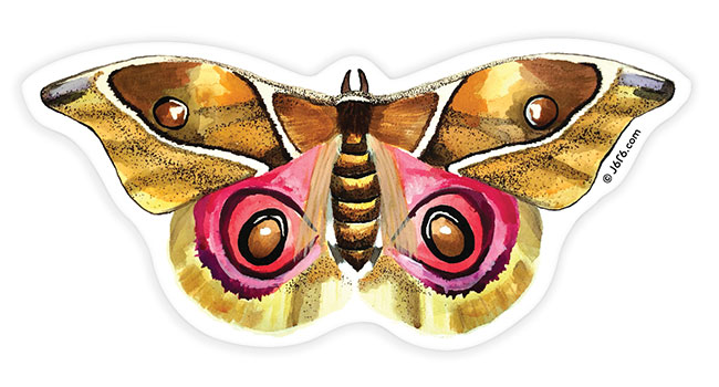 Moth Sticker 
															/ J6R6							