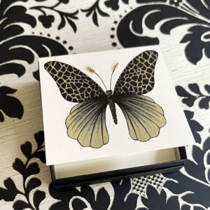 Butterfly Boxed Notes from s.e. hagarman Designs