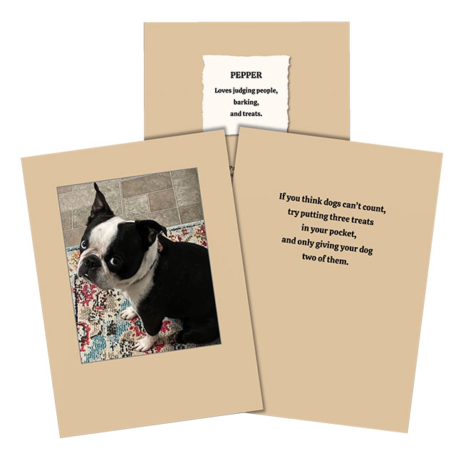Paw Talk Greeting Card - Just For Fun 
															/ 1216 Trading Co.							