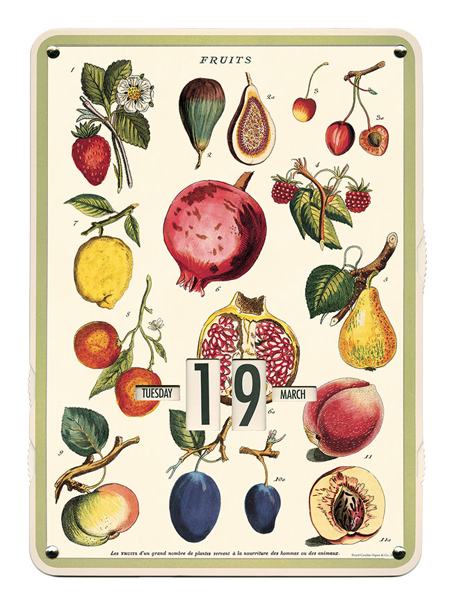 Perpetual Fruit Calendar 
															/ Cavallini & Co							
