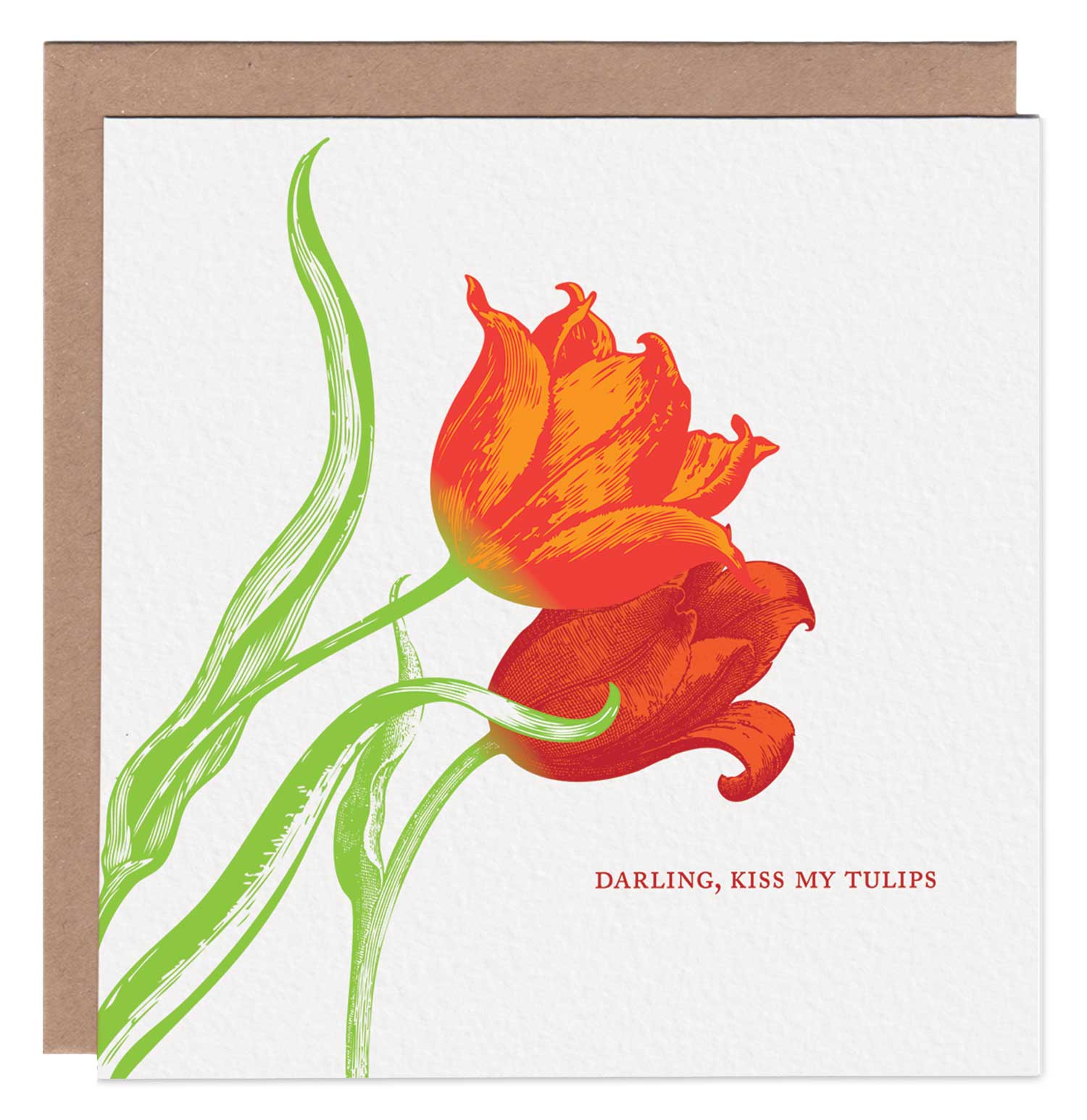 Tulips Square Card
/ Ampersand M Studio