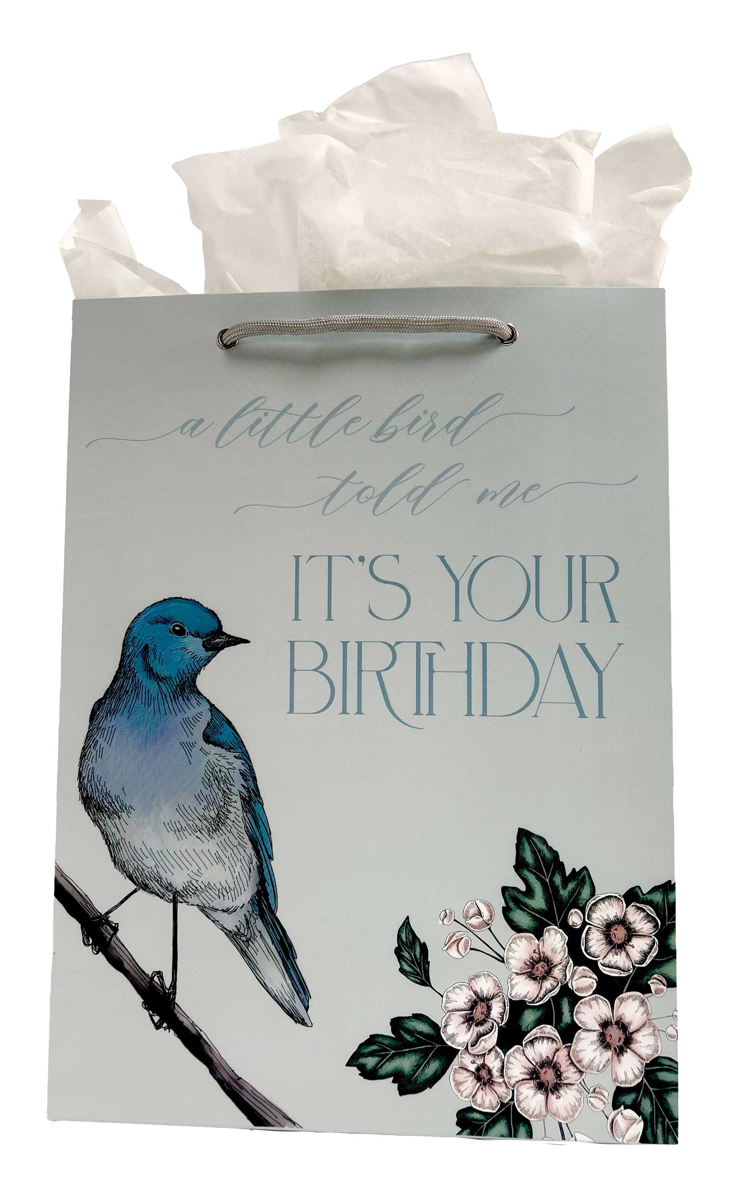 Bird Birthday Bag