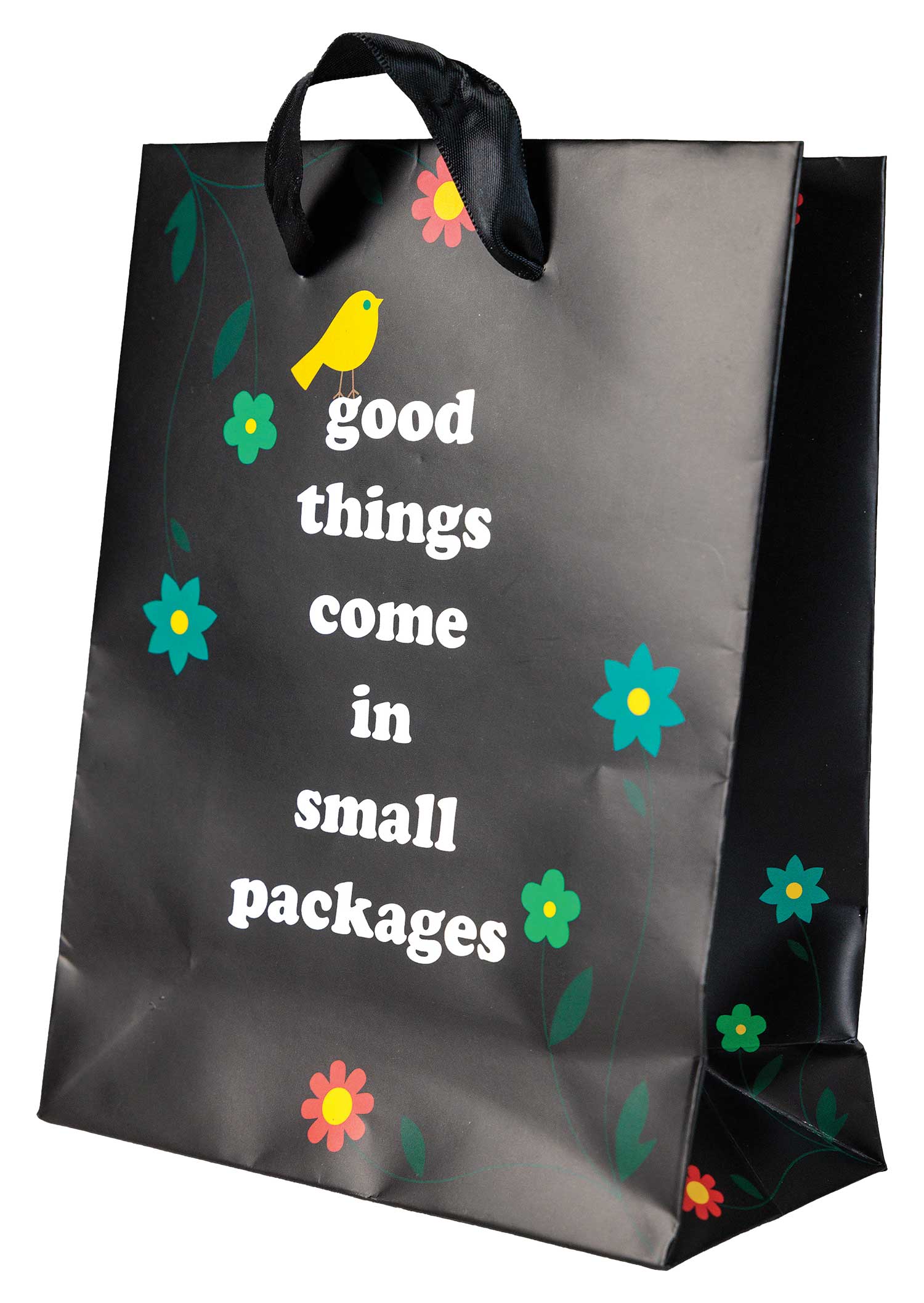Small Package Bag