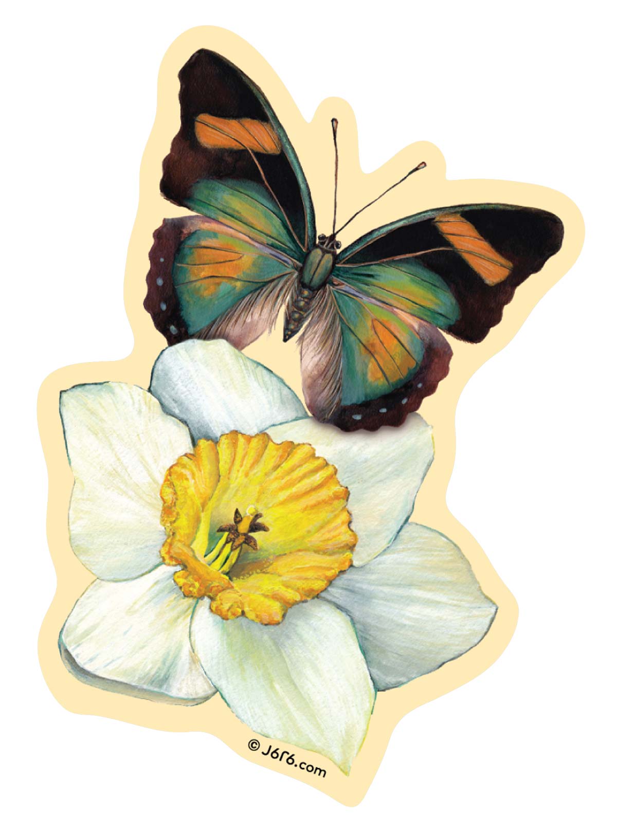 Daffodil Butterfly Sticker
