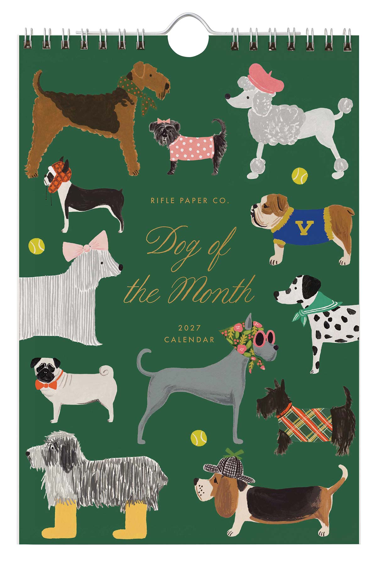 Dog of the Month Calendar